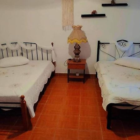 Villa Konstantina ネア・スキオニ エクステリア 写真