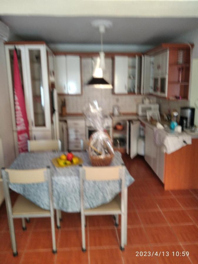 Villa Konstantina ネア・スキオニ エクステリア 写真