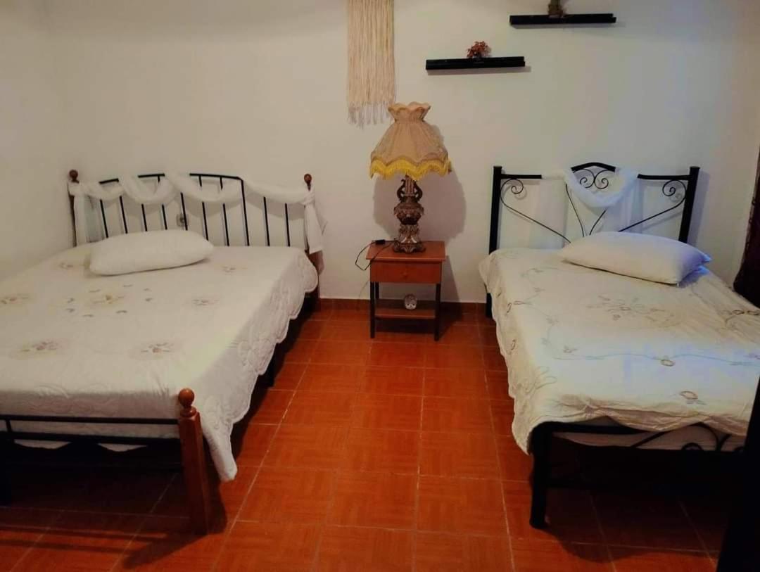 Villa Konstantina ネア・スキオニ エクステリア 写真